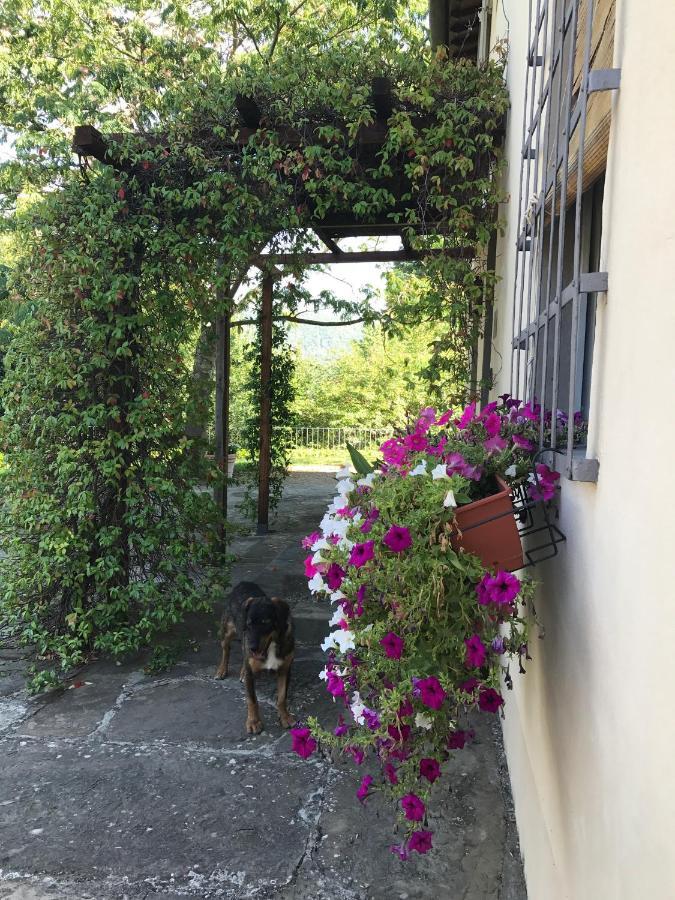 Gasthaus Il Pezzatino Rufina Exterior foto